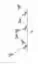Fig. 03 - Pet Toy and Method of Manufacture