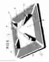 Fig. 06 - Bird feeder with electric conductive surfaces for repelling squirrels