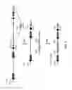 Fig. 08 - HUMANIZED RODENTS THAT EXPRESS HEAVY CHAINS CONTAINING VL DOMAINS