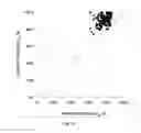 Fig. 45 - ANIMAL MODELS AND THERAPEUTIC MOLECULES