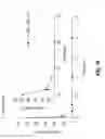 Fig. 19 - ANTIMICROBIAL POLYMERS FORMED BY BULK POLYADDITION