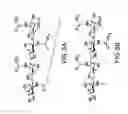 Fig. 04 - Combinations of lipo-chitooligosaccharides and methods for use in enhancing plant growth