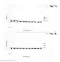 Fig. 08 - Methods of decreasing the viscosity of a dietary fiber
