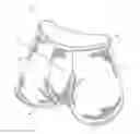 Fig. 01 - Men's Underwear