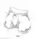 Fig. 02 - Men's Underwear