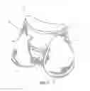 Fig. 03 - Men's Underwear