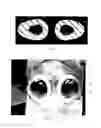 Fig. 10 - PERSONAL PROTECTIVE EQUIPMENT AND METHODS