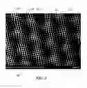 Fig. 03 - Textiles having a microstructured surface and garments comprising the same