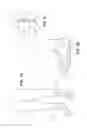 Fig. 12 - Footwear device