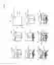 Fig. 09 - Structural element