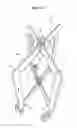 Fig. 15 - Structural element