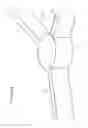 Fig. 28 - Structural element