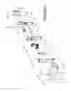 Fig. 03 - External motor drive system for window covering system with continuous cord loop