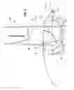 Fig. 06 - Combination Juicer Blender