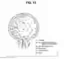 Fig. 22 - Medical apparatus for associating index indicating priority corresponding to lesion occurrence frequency with position of inner wall opposing in visual line direction of endoscope the position being one at which image is acquired