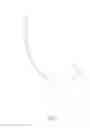 Fig. 03 - Flexible Bar-shaped Camera and Intubation Device Thereof