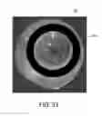 Fig. 26 - METHOD AND APPARATUS FOR DETERMINING EYE TOPOLOGY