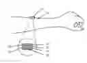 Fig. 01 - EMG Home Trainer