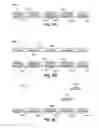 Fig. 05 - VERTICAL-FLOW ELECTRONIC BIO-CHEMICAL SENSING DEVICES