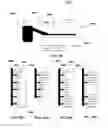 Fig. 49 - Methods and devices for sample collection and sample separation
