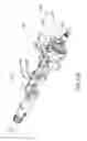 Fig. 95 - SYSTEM AND METHOD FOR EXTRACTION OF HAIR FOLLICLE