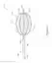 Fig. 04 - Centered balloon for the left atrial appendage