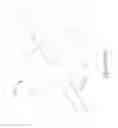 Fig. 22 - Centered balloon for the left atrial appendage