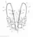 Fig. 01 - Control assemblies for medical devices and related methods of use