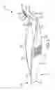 Fig. 05 - Forceps with integrated blade