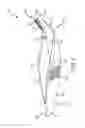 Fig. 06 - Forceps with integrated blade