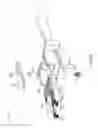 Fig. 20 - SURGICAL MICRO-SHEARS AND METHODS OF FABRICATION AND USE