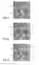 Fig. 06 - Imaging apparatus for imaging a first object within a second object