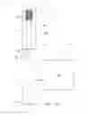 Fig. 16 - Toothbrush and method for proper brushing of teeth and gums in the direction of gum growth optionally with an attached camera