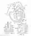 Fig. 09 - METHOD AND APPARATUS FOR RESHAPING A VENTRICLE