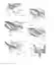 Fig. 06 - Expandable intervertebral implant