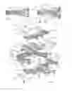 Fig. 10 - Expandable intervertebral implant