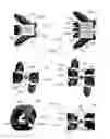 Fig. 09 - Expandable intervertebral implant