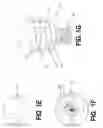 Fig. 04 - Vertebral cage