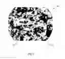 Fig. 02 - Devices and methods for tissue engineering