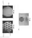 Fig. 07 - ULTRA-LOW FRACTIONAL AREA COVERAGE FLOW DIVERTER FOR TREATING ANEURYSMS AND VASCULAR DISEASES