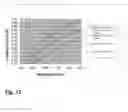 Fig. 13 - BIODEGRADABLE METAL STENT AND METHOD OF MAKING