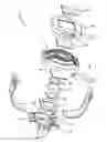 Fig. 01 - BODY TEMPERATURE REGULATING DEVICE AND METHOD
