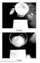 Fig. 07 - SANITARY ABSORBING CONSTRUCTION