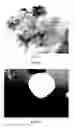 Fig. 13 - SANITARY ABSORBING CONSTRUCTION