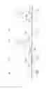 Fig. 07 - BODILY FLUID ABSORBENT MATRIX AND METHOD FOR MANUFACTURING THE SAME