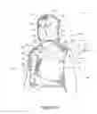 Fig. 02 - Head and neck compression therapy system
