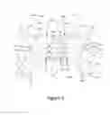 Fig. 07 - Head and neck compression therapy system
