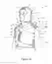 Fig. 02 - Static and dynamic compression therapy system