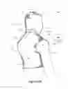 Fig. 03 - Static and dynamic compression therapy system