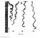 Fig. 08 - Effective hair styling compositions and processes